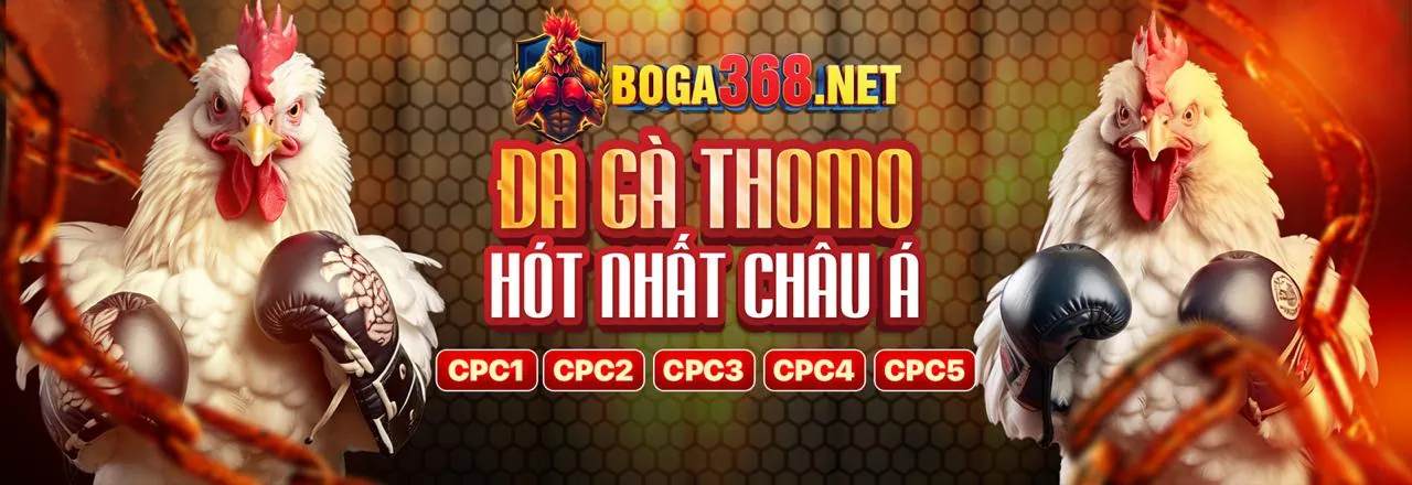 Ưu đãi và khuyến mãi đá gà hấp dẫn tại 789b1 Nổ Hũ